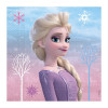 Guardanapos Frozen